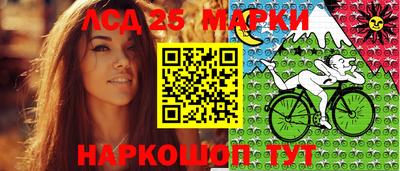 Альфа ПВП Будённовск