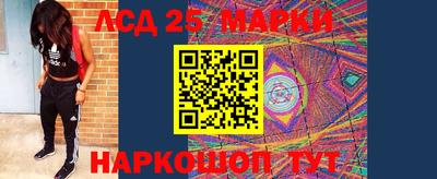 Альфа ПВП Будённовск