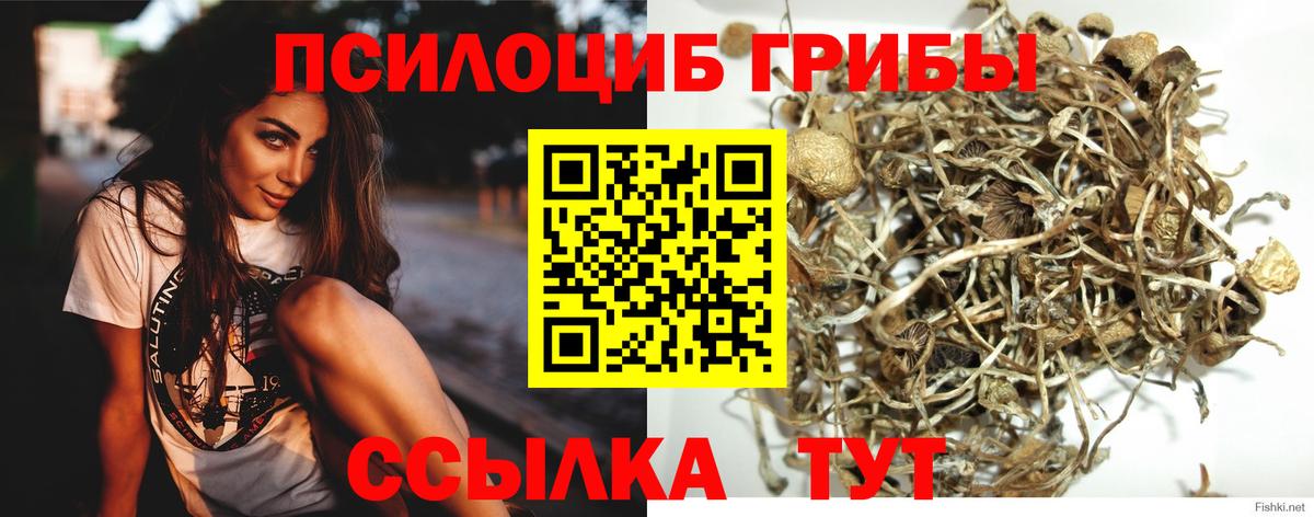 Псилоцибиновые грибы Magic Shrooms Ставрополь